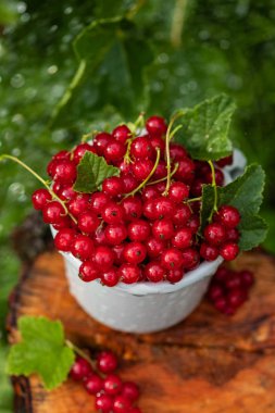 Ahşap bir arka planda metal bir kupa kırmızı frenk üzümü çilek