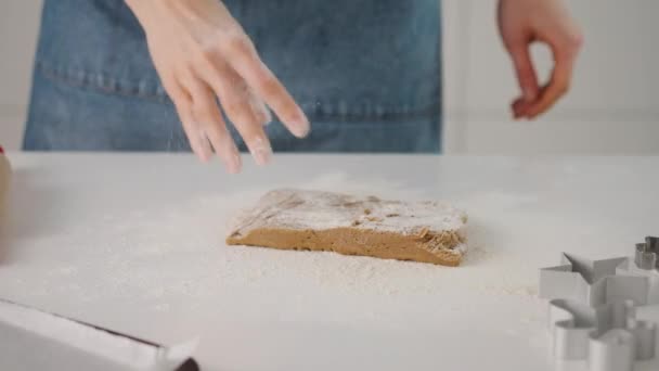 Processo de fazer biscoitos de gengibre para o Natal. Uma mulher está a preparar uma massa. No Natal. Movimento lento . — Vídeo de Stock