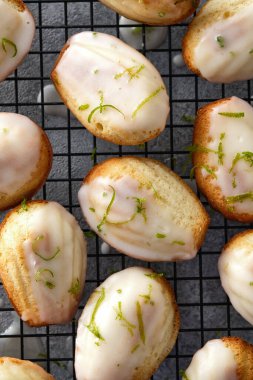 Soğutma rafında el yapımı madeleine, gri masada geleneksel Fransız usulü küçük kek kurabiyesi.