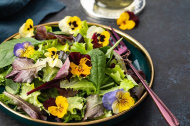 Bahar salatası, roka, bitki ve çiçek..