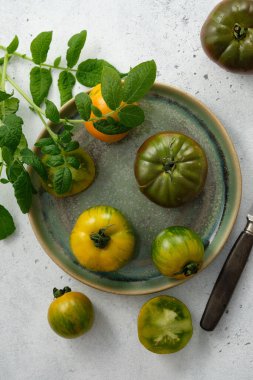 Gri beton arka planda renkli domatesler.