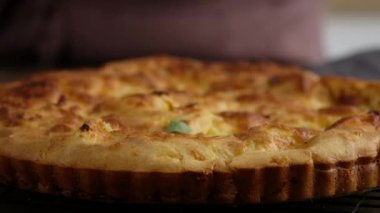 Yunan peynirli turta. Kadın, peynirli ve mikroyeşillikli bir turta hazırlıyor. Siyah arkaplan.