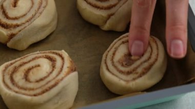 Pasta şefi çörek için tarçınlı hamur rulosu sarar. Kadın elleri masada tarçınlı kek hazırlıyor. Kapatın. Tarçınlı çörek üretimi. Fırın ürünleri. Aperatif tarçınlı çörekler