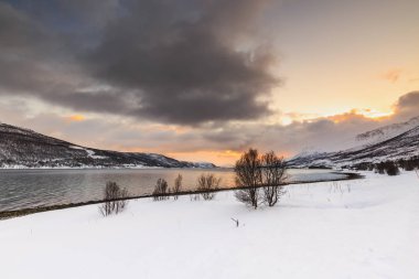 Tipik Norveç sahil şeridine bir fiyort, Norveç'Troms, düşük tide taşlara. Güneş ufuk, bulutlu gökyüzü düşüktür. Soğuk kış aylarında karla kaplı dağlar.