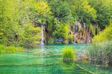 Dağlar ile yeşil ağaçlar ve mavi gökyüzü ve temiz su ile yaz güneşli manzara. Plitvice Gölleri, Hırvatistan