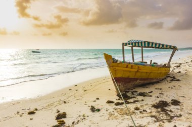 Kuru, döşeme tekne tropik sahilde günbatımı sırasında Zanzibar, Tanzanya telli.