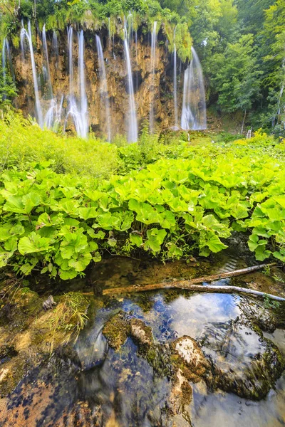 Крупним Планом Синій Водоспади Лісі Зелений Ночліг Summer Plitvice Озер — стокове фото