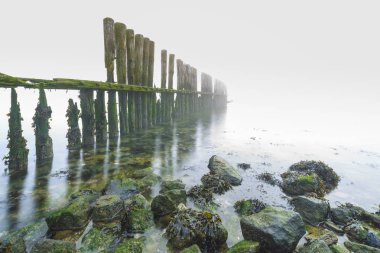 Soğuk bir kış sabahı sırasında düşük görünürlük ile ağır yoğun sis ile sahil şeridi üzerinde eski ahşap groyne. Ufuk görünür değil.
