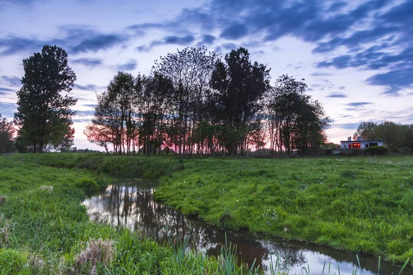 Typical Dutch Countryside Landscape Small Streaming River Green Meadow Forest — Stock Photo, Image