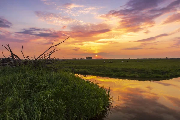 Colorful sunset with sunpillar above agraric landscape. — Stock Photo, Image