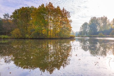 Küçük nehir ile Sonbahar renkli orman manzara