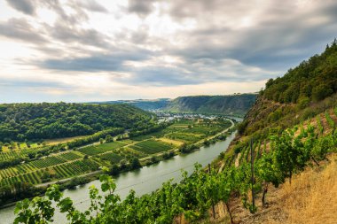 Hunsbruck ve Eifel dağlarını birbirine bağlayan çelik kiriş köprüsüne bakın. Moselle nehri ve Winningen üzüm bağlarının şarap bölgesine bakıyor..