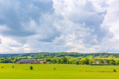 Limburg 'un en iyi manzarası, güzel yeşil manzara, tepeler, tarlalar ve çayırlar, bitki örtüsü ve köy.