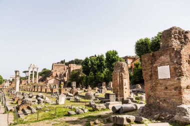 Basilica Iulia R Roman Forum kalıntıları geniş görüş