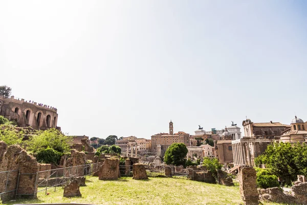 Ampla Vista Panorâmica Dos Edifícios Antigos Fórum Romano Roma — Fotografia de Stock