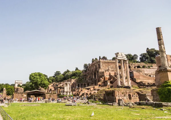 Ampla Vista Fórum Romano Incluindo Templo Castor Pollux — Fotografia de Stock