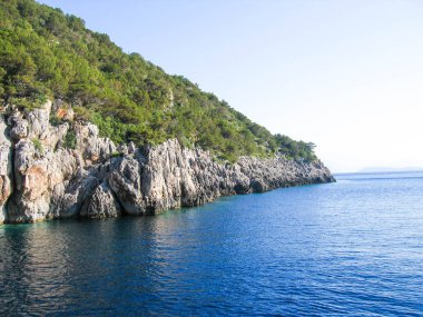 Ağaç ve kayaların üzerinde Deniz Cliff