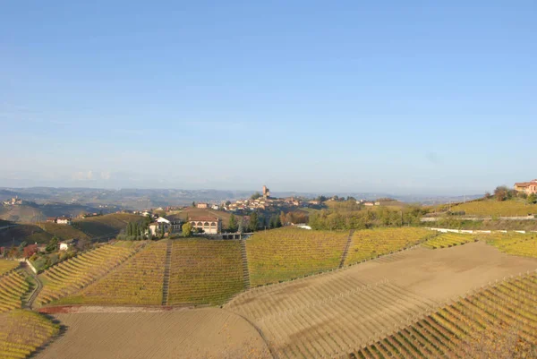 Vigneti Sulle Colline Delle Langhe Piemonte Italia — Foto Stock