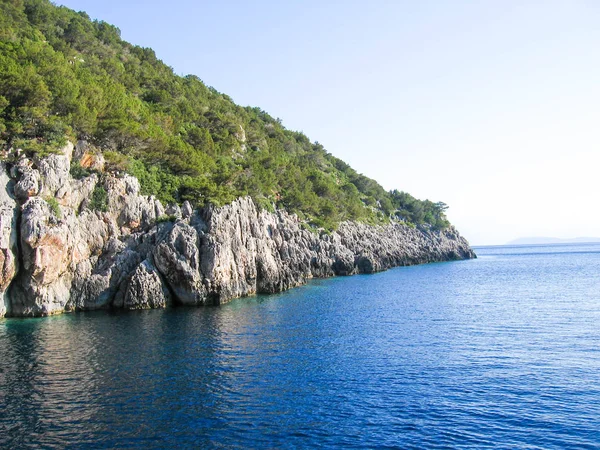 Falaise Avec Des Arbres Des Rochers Sur Mer — Photo