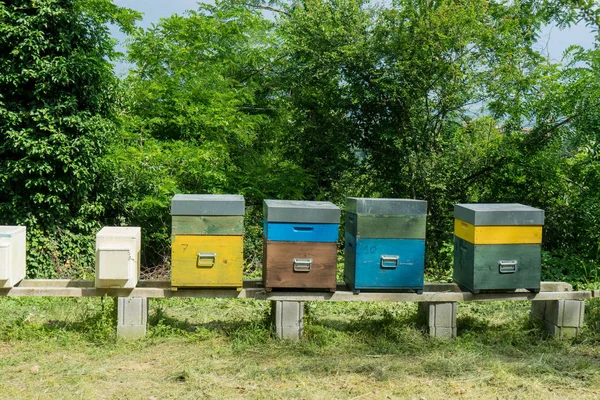 Néhány Kaptárak Méhek Tenyésztése — Stock Fotó