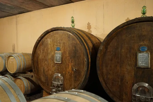 Barrique Pour Maturation Vin — Photo