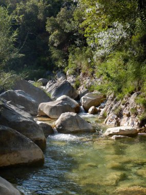 Şelale Rio Barbaira akışı, Rocchetta Nervina, Liguria - İtalya