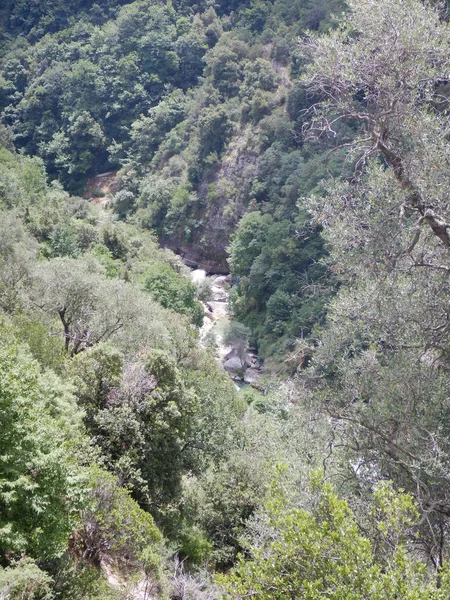 Vue Sur Ruisseau Rio Barbaira Rocchetta Nervina Ligurie Italie — Photo