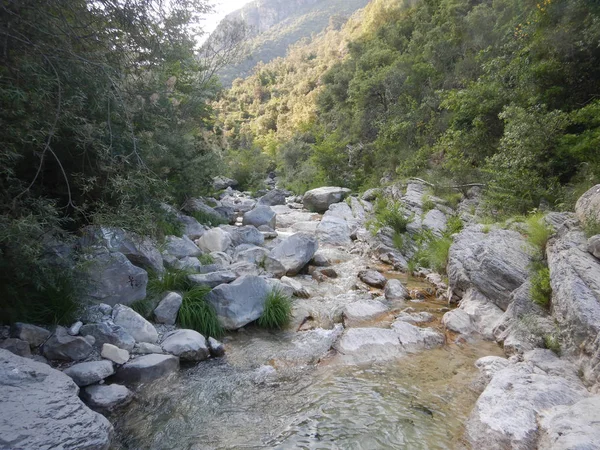 Canyon Rio Barbaira Rocchetta Nervina Ligúria Itália — Fotografia de Stock