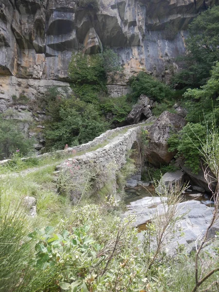 Ponte Pau Rio Barbaira Rocchetta Nervina Lembah Nervia Italia — Stok Foto