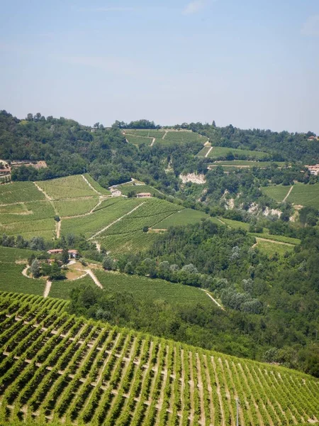 Hügel Der Langhe Unesco Weltkulturerbe Piemont Italien — Stockfoto