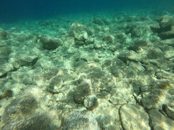 View Seabed Capo Noli Liguria Italy — Stock Photo, Image