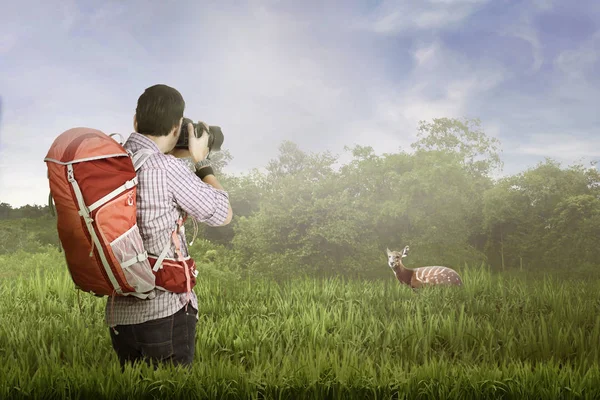 Young Asian Photographer Backpack Taking Photos Wild Deer — Stock Photo, Image