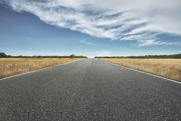 Empty road with savannah view at sunny day