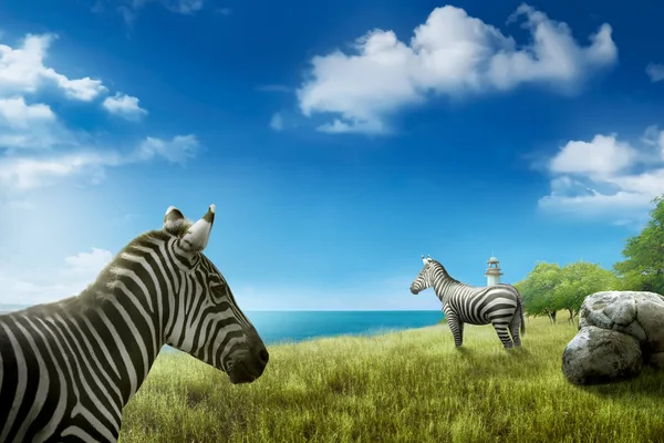 Zebras Auf Der Grünen Wiese Mit Blauem Himmel Hintergrund — Stockfoto