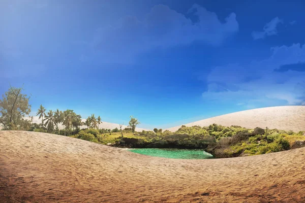 Piękna Oaza Pustyni Tle Błękitnego Nieba — Zdjęcie stockowe