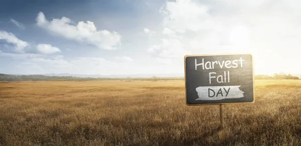 Plank Harvest Fall Day Message Dry Grass Field — Stock Photo, Image