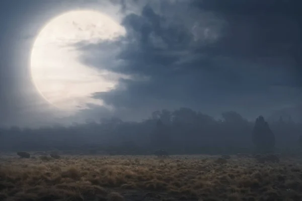 Campo Con Niebla Nubes Oscuras Por Noche — Foto de Stock