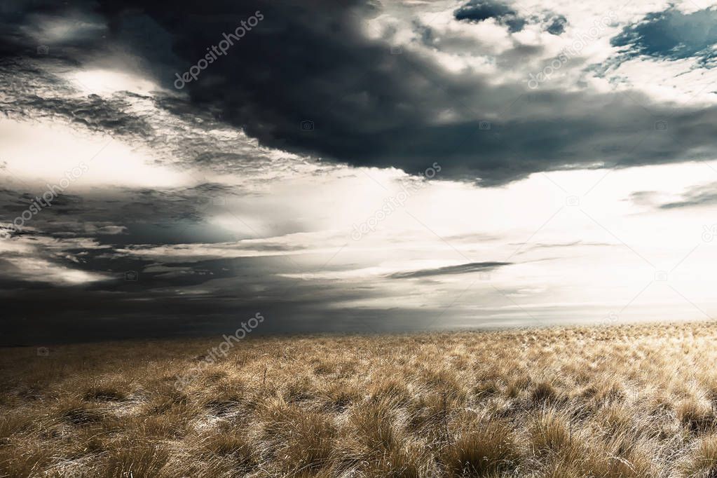 Grassland with dark cloudscape on the sky