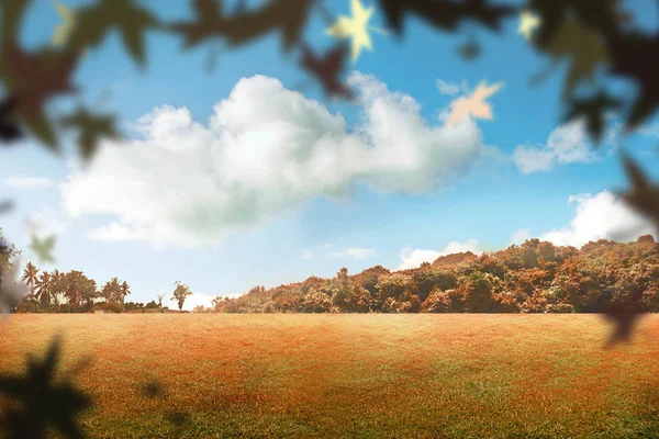 落ち葉で秋の公園 秋の背景 — ストック写真