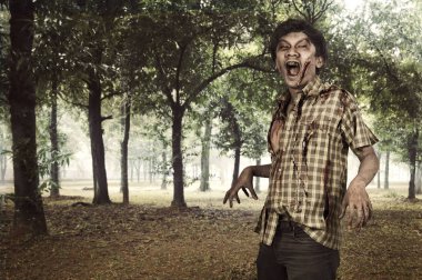 Ürkütücü zombi adam sisli ormanın geziyorum. Cadılar Bayramı kavramı