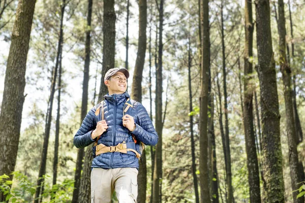 Handsome Asian Traveler Backpack Forest — Stock Photo, Image