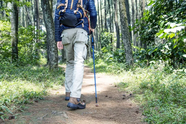 Asya Seyahat Adam Sırt Çantası Ormana Doğru Yürüyüş Trekking Kutup — Stok fotoğraf