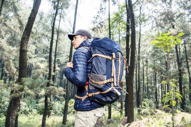 Genç Asyalı backpacker adam yeşil orman seyahat gidiyor
