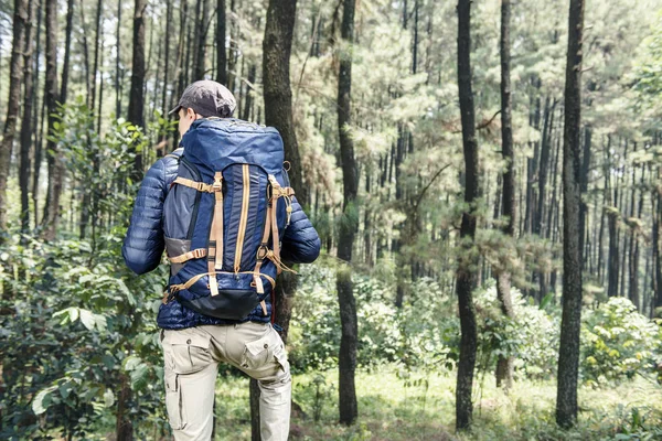 亚洲旅行者的后方视图在森林背包的人 — 图库照片