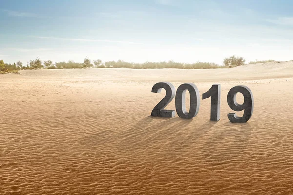 Número 2019 Deserto Feliz Ano Novo 2019 — Fotografia de Stock
