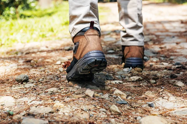 Rear View Hikers Man Boots Walking Forest Path — Stock Photo, Image