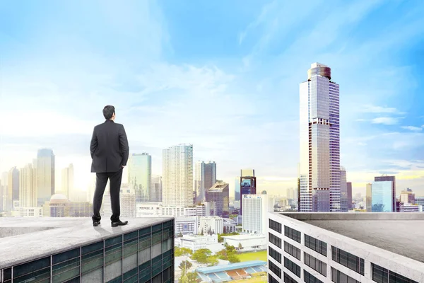 Rear View Businessman Standing Rooftop Looking Cityscape — Stockfoto