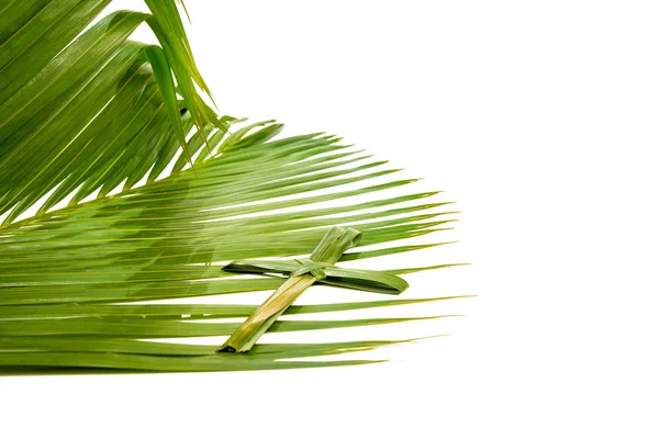 Хрест Форми Palm Leaf Пальмовими Гілками Зеленими Листям Ізольованих Над — стокове фото