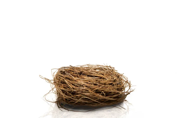 Leeres Nest Isoliert Über Weißem Hintergrund — Stockfoto
