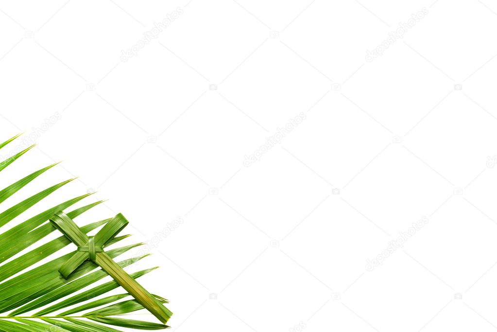 Cross shape of palm leaf with green leaves isolated over white background. Palm Sunday concept